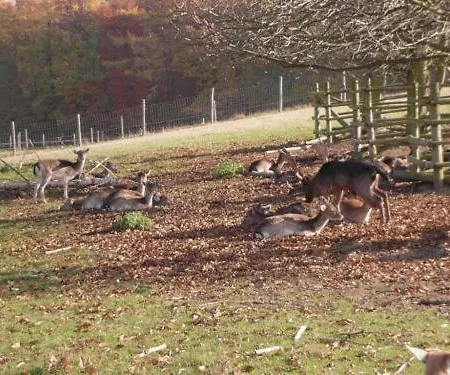 酒店 福斯豪斯莱姆斯特肯沃德酒店 3*