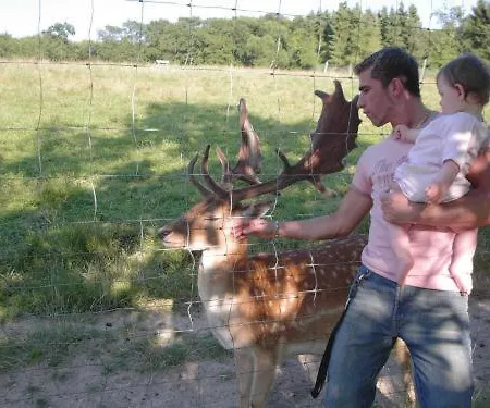 福斯豪斯莱姆斯特肯沃德酒店 酒店 科布倫茨