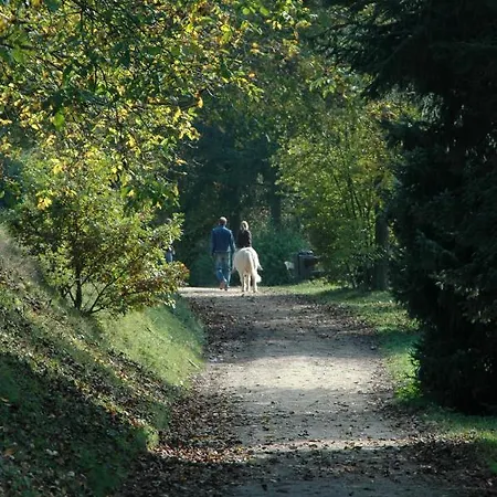 福斯豪斯莱姆斯特肯沃德酒店 科布倫茨