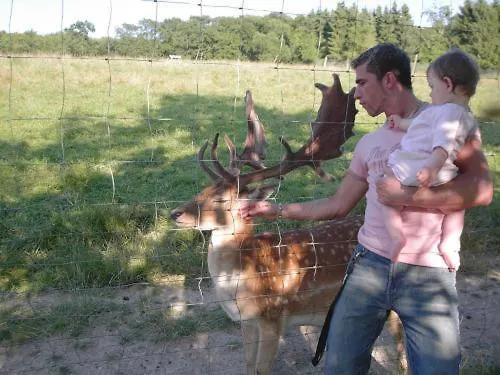 Waldhotel Forsthaus Remstecken 호텔 코블렌츠