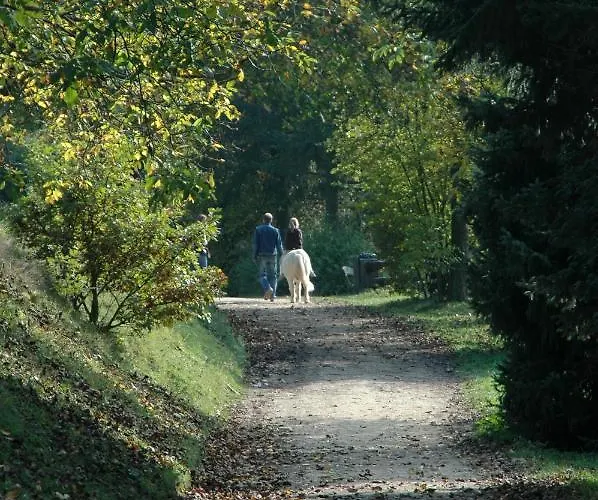 Waldhotel Forsthaus Remstecken 코블렌츠